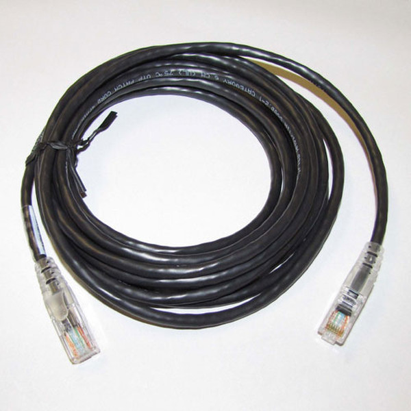 Fujitsu FPCCBL31 4.27м Черный сетевой кабель