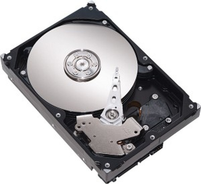 Seagate DiamondMax 20 Maxtor 160GB 8MB SATA II 160ГБ Serial ATA II внутренний жесткий диск