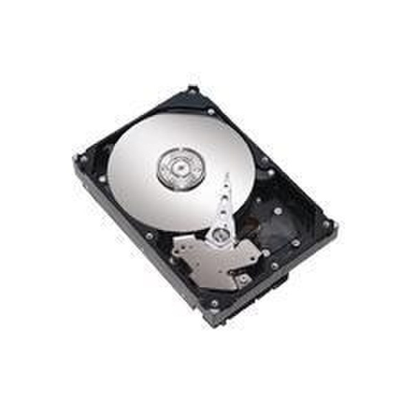 Seagate DiamondMax 21 Ultra ATA 250-GB Hard Drive 250GB Externe Festplatte