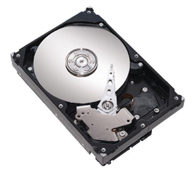 Seagate DiamondMax 20 300 GB Hard Disk 300GB IDE/ATA internal hard drive