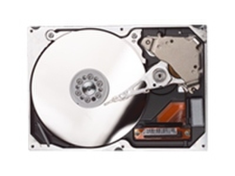 Seagate Basics Maxtor HDD Kit 160GB SATA 160GB Serial ATA II internal hard drive