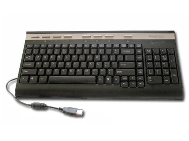 Prestigio USB Keyboard USB QWERTY Black keyboard
