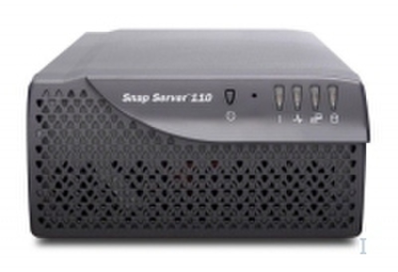 Adaptec Snap Server 110 250GB