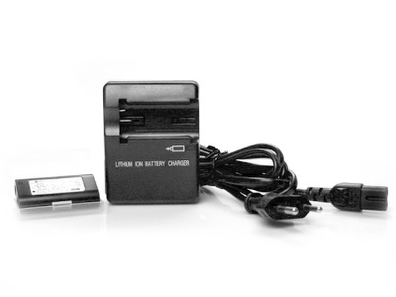 Ricoh Battery charger BS-5
