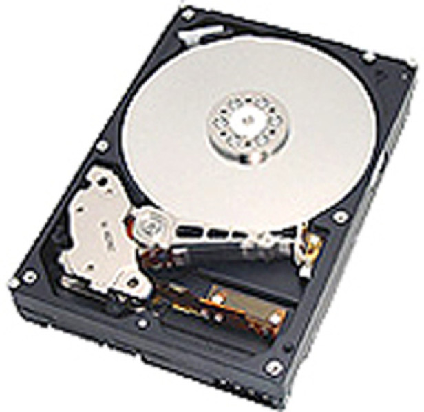 Hitachi Deskstar 7K250- 250 250GB Ultra-ATA/100 internal hard drive