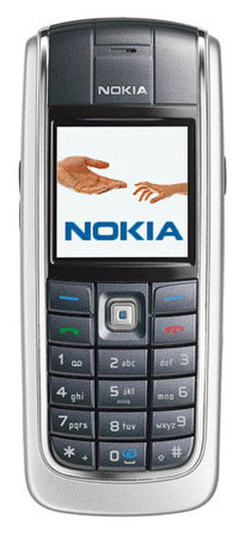 Nokia 6020 90г Серый