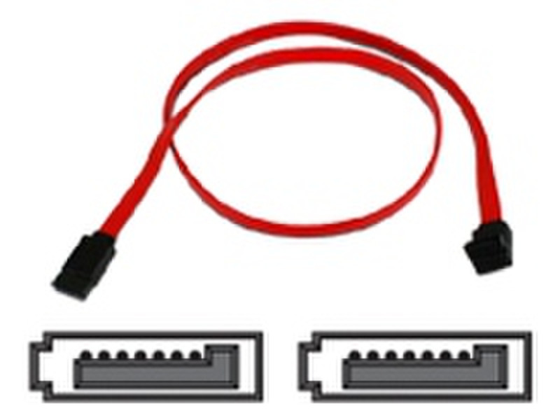Belkin Cable ser ATA RED PVC