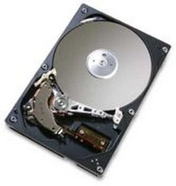 Hitachi Server Drives AMS/WMS 500GB SATA 7200rpm 500ГБ SATA внутренний жесткий диск