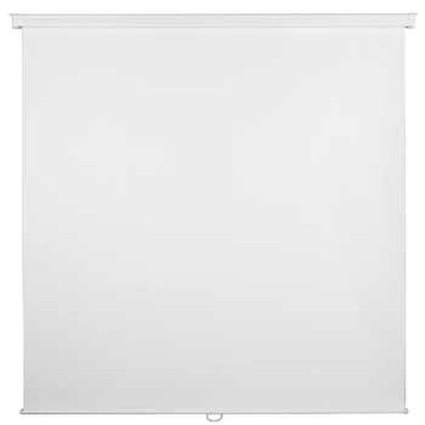 Hama Roller Projection Screen 200 x 200cm 1:1 White projection screen