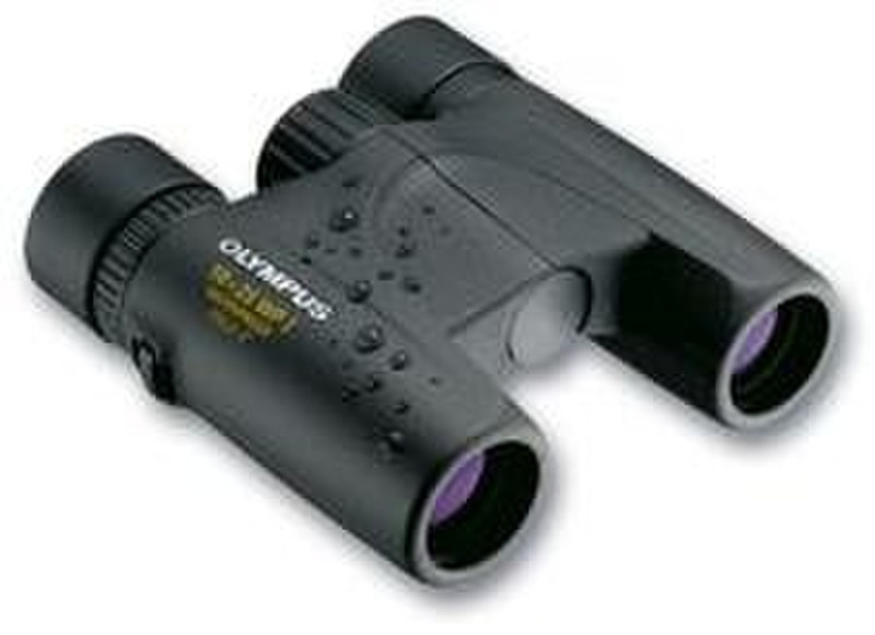 Olympus 10x25 WP I Roof Black binocular