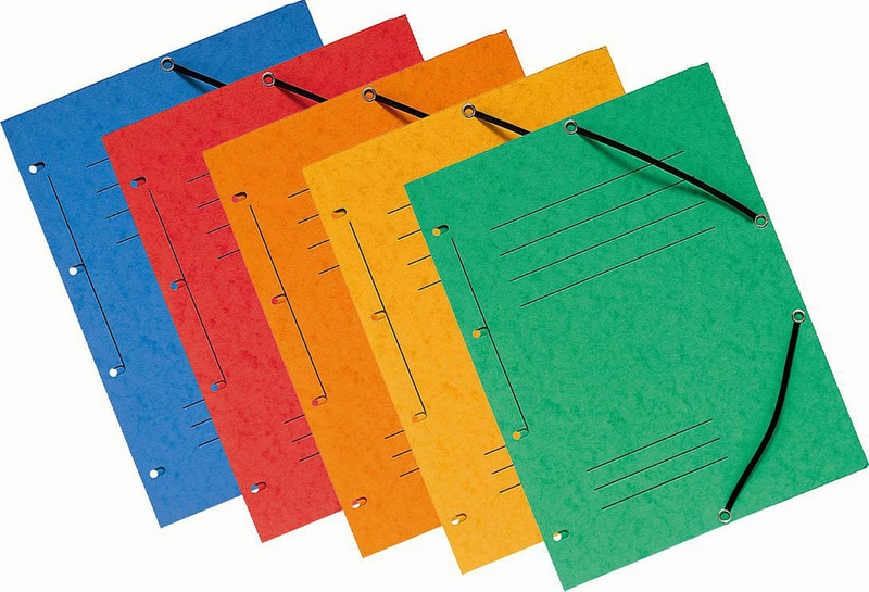 Exacompta 55980E Papier Mehrfarben Aktendeckel