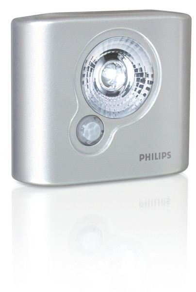 Philips 6914114PH Silver flashlight