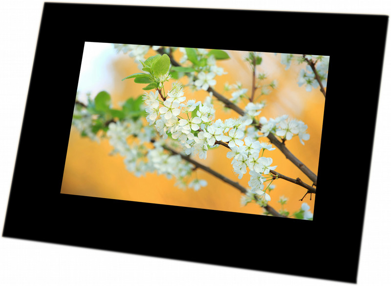 Maxell DPF71 7" Black digital photo frame