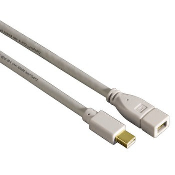 Hama 00053219 DisplayPort-Kabel