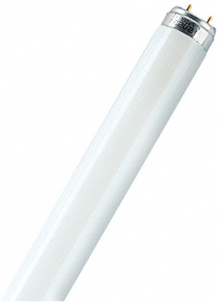 Osram L18W/865 18W G13 A