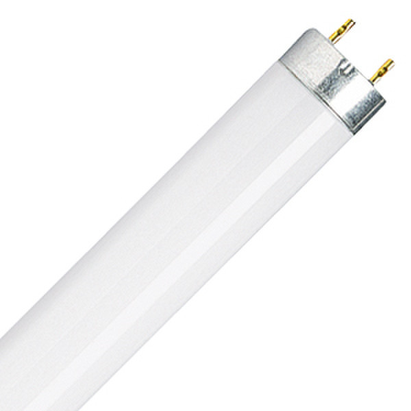 Osram Active Daywhite 36W G13 A