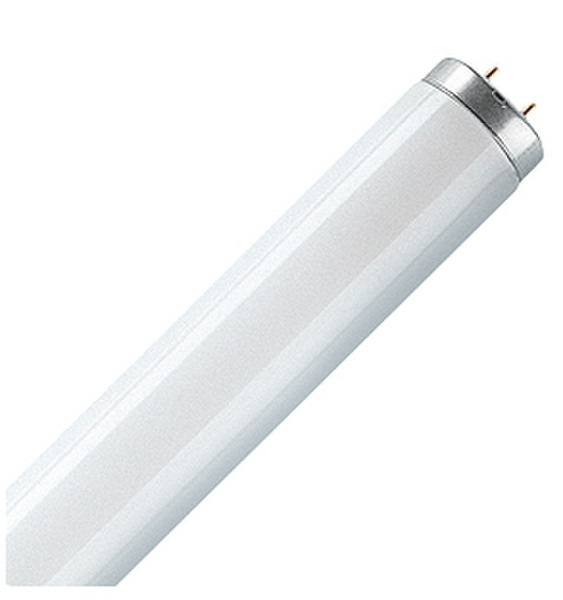 Osram Active Daywhite 15Вт G13 B