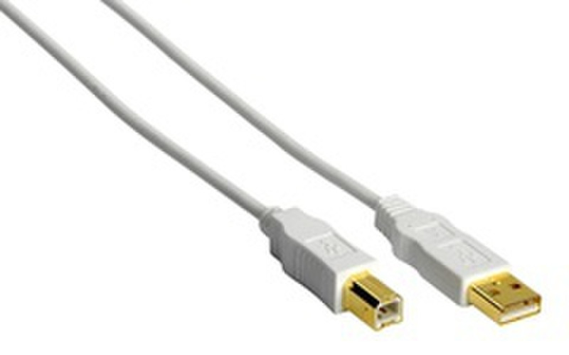 Ednet USB Cable AB type