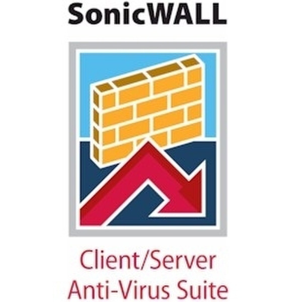 DELL SonicWALL Client/Server Anti-Virus Suite - Subscription license ( 2 years ) - 25 users