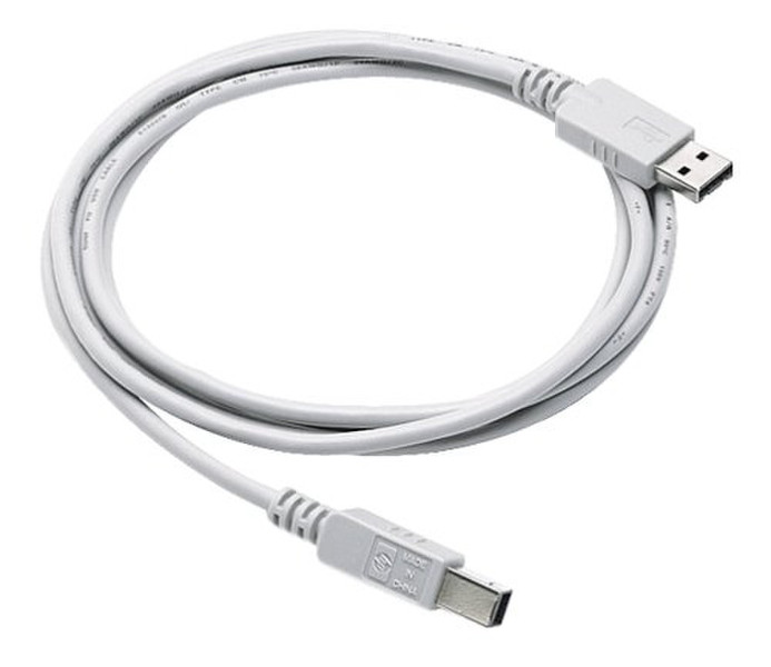 Digi USB Cable (A - B USB cable, 16.4 ft) 5m ivory USB cable