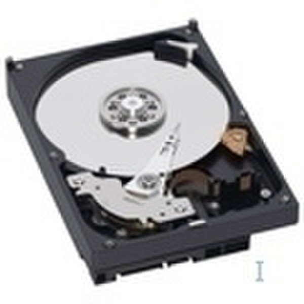 Western Digital AV 500 GB 7200 RPM EIDE 500GB EIDE/ATA internal hard drive