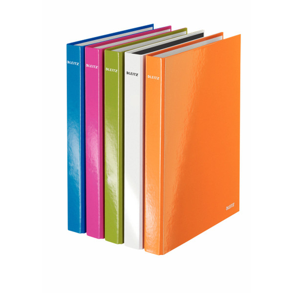 Leitz 42420099 ring binder