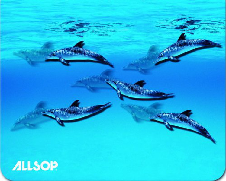 Allsop 3D Dolphin Blau
