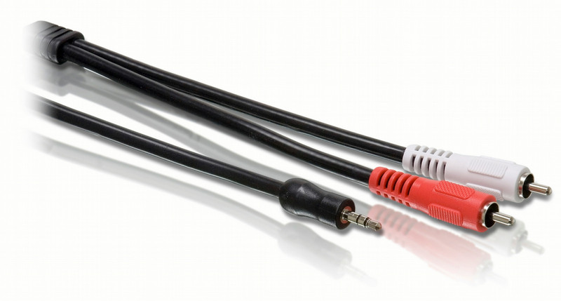 Philips SWA2520 3м 2 x RCA 3.5mm Черный аудио кабель
