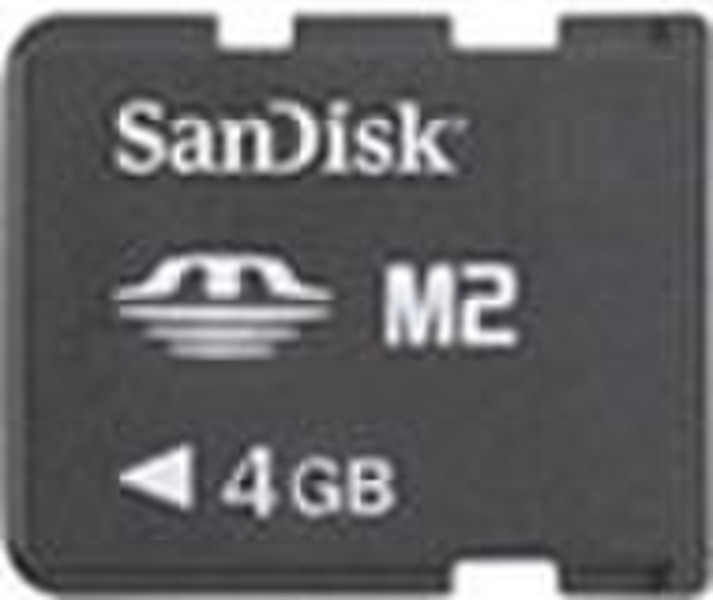Sandisk Memory Stick Micro (M2) 4GB 4GB MS memory card