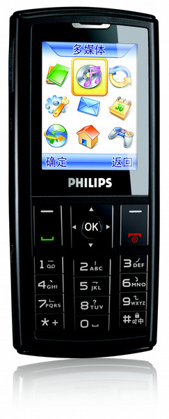 Philips CT0290BLK 290 Mobile Phone