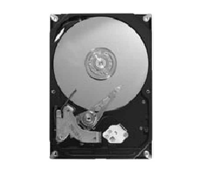 Seagate DiamondMax 21 - 250GB SATA 250GB SATA Interne Festplatte