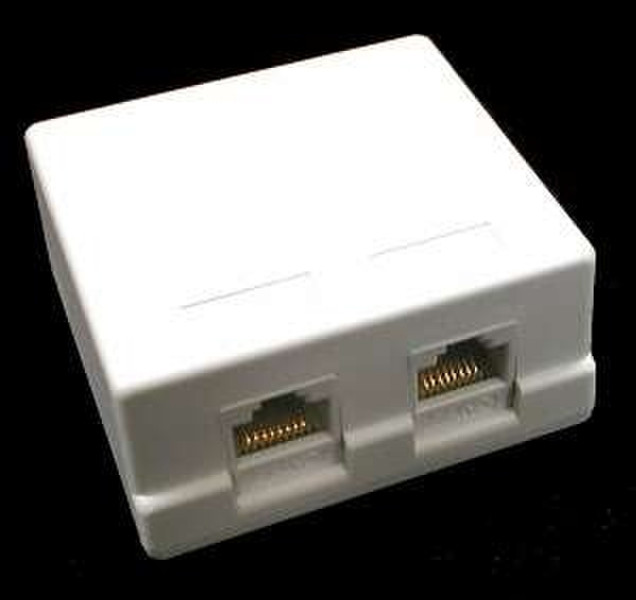 Lynx 2-port outlet UTP cat5E, white White cable interface/gender adapter