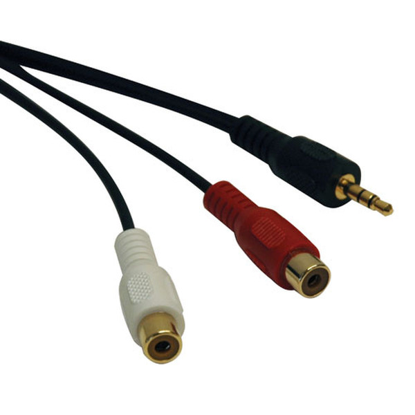 Tripp Lite 3.5mm Mini Stereo to Two RCA Audio Y Splitter Adapter Cable (3.5mm M to 2x RCA F), 6-ft.
