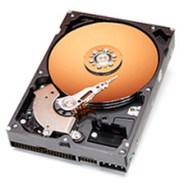 Western Digital Caviar 250GB 250GB Ultra-ATA/100 internal hard drive