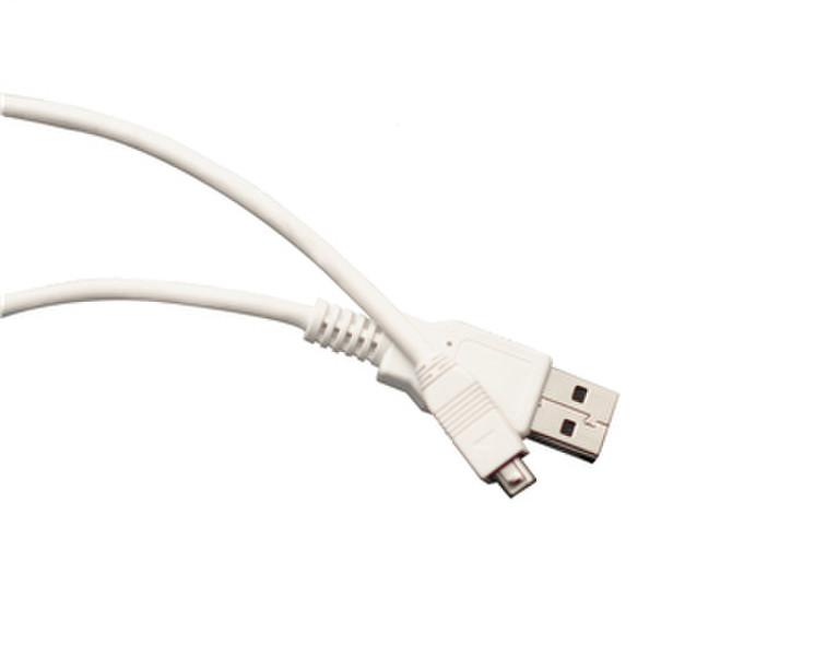 Optoma BC-PKAUS1 1m Mini-USB A USB A White USB cable
