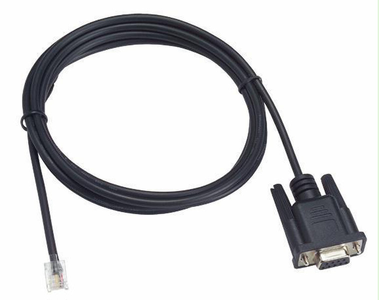 Promise Technology 2m DB9 to RJ11