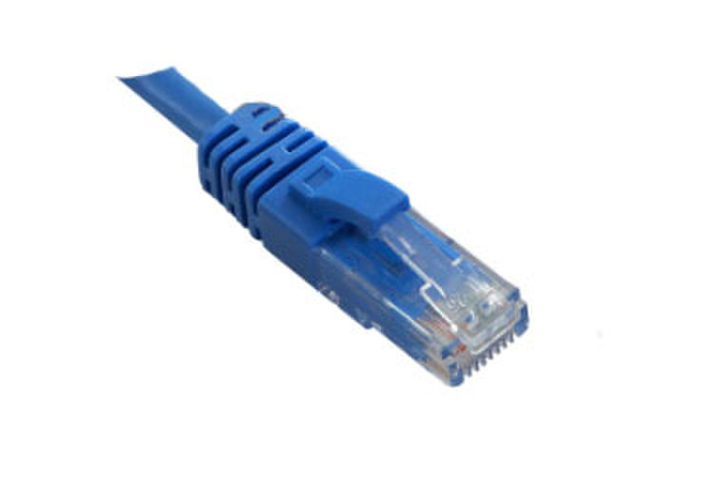V7 0.3m RJ-45 M/M 0.3m Blue networking cable