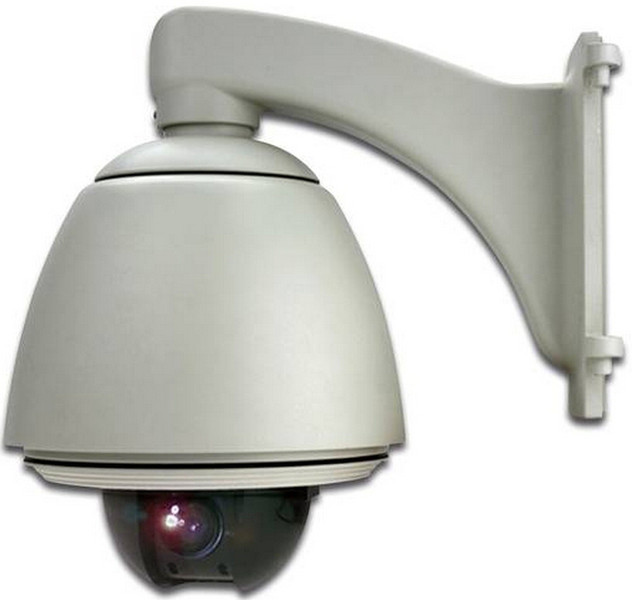 Digitus DN-16065 Outdoor Dome White surveillance camera