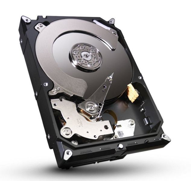 Seagate Desktop HDD ST250DM000 250GB Serial ATA hard disk drive