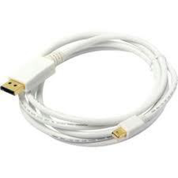Atlona AT13021-2 DisplayPort-Kabel