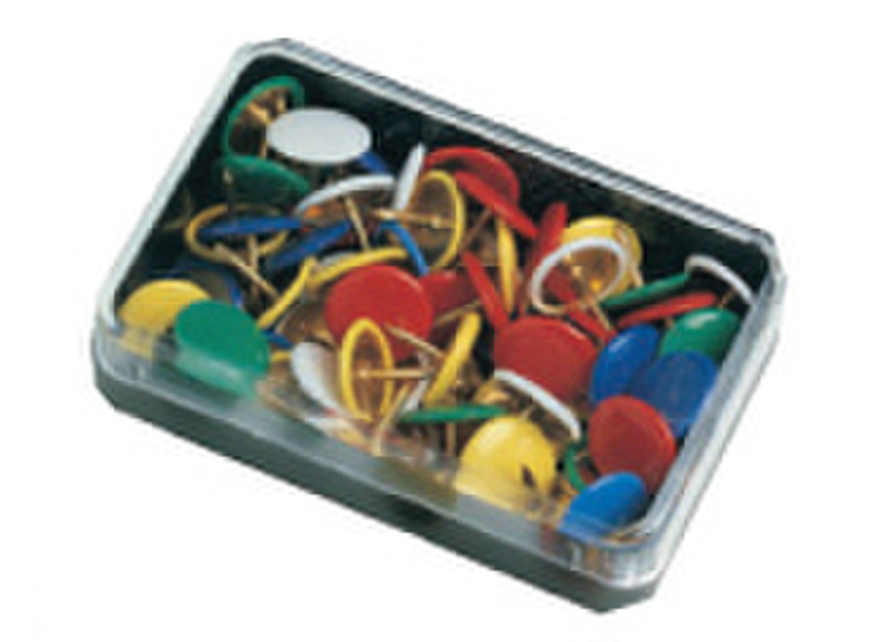 Molho Leone Pins Plastic Cover