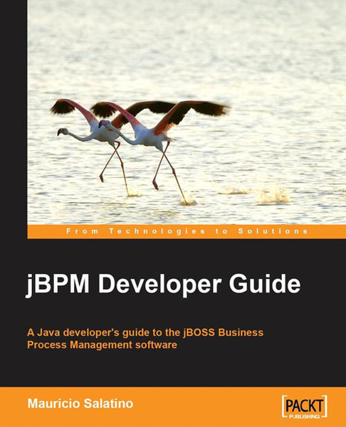 Packt jBPM Developer Guide 372страниц руководство пользователя для ПО