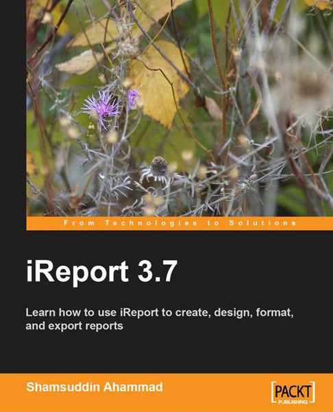 Packt iReport 3.7 236Seiten Software-Handbuch