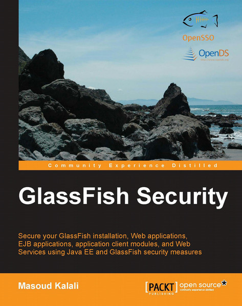 Packt GlassFish Security 296Seiten Software-Handbuch