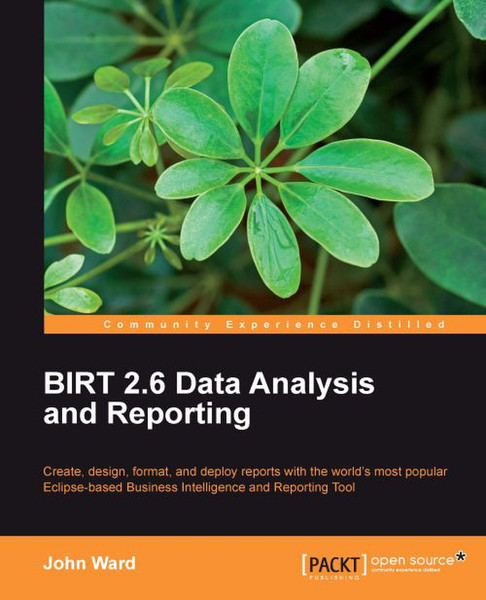 Packt BIRT 2.6 Data Analysis and Reporting 360Seiten Software-Handbuch