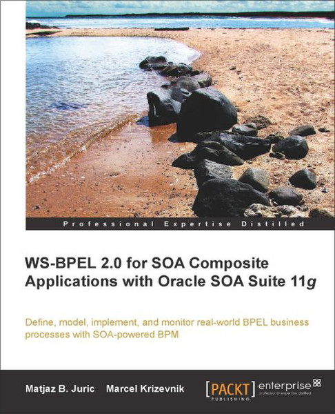 Packt WS-BPEL 2.0 for SOA Composite Applications with Oracle SOA Suite 11g 616страниц руководство пользователя для ПО