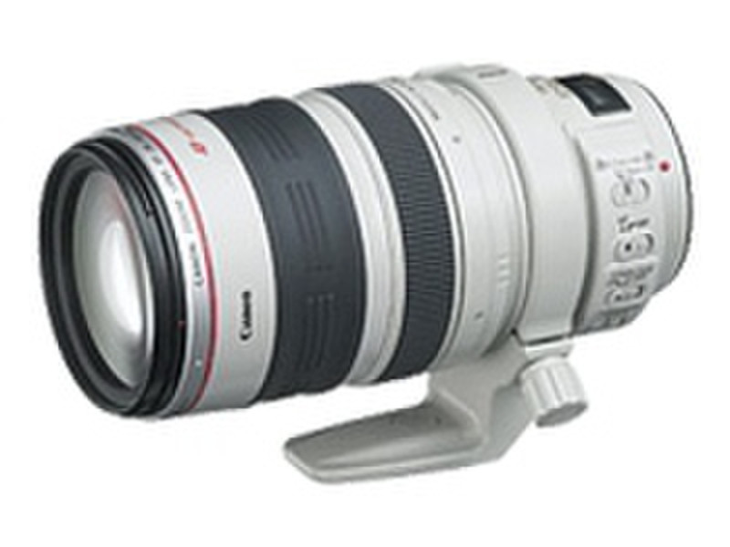 Canon Zoom lens EF28-300mm 3.5-5.6 L IS USM