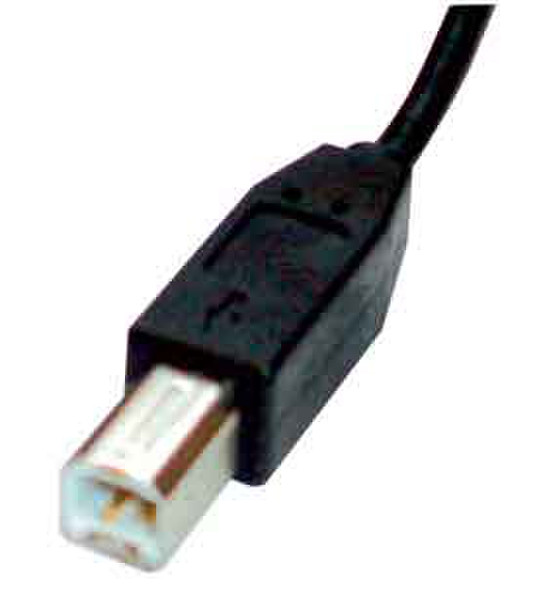 Sahara USB 2.0, 2m 2m USB A USB B Black